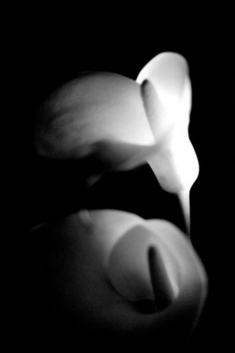 34a